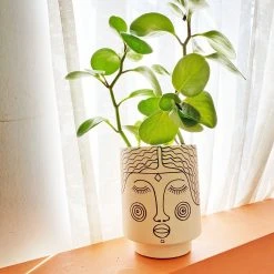 Jungalow® Planters Agatha Kaya Face Pot By Justina Blakeney™