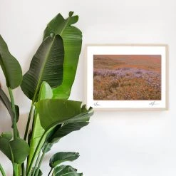 Eden Art Print By Chloe Purpero Johnson