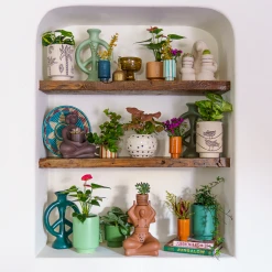 Jungalow® Cosmic Desert Kaya Pot By Justina Blakeney™