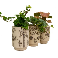 Jungalow® Cosmic Desert Kaya Pot By Justina Blakeney™