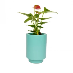 Jungalow® Carribean Green Kaya Pot By Justina Blakeney™