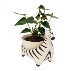 Jungalow® Zebra Savannah Garden Pot By Justina Blakeney™ 11 Jungalow® Zebra Savannah Garden Pot By Justina Blakeney™
