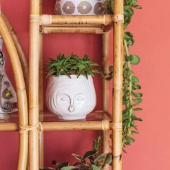 HomArt Pucker Up Planter Planters