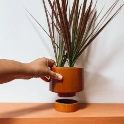 Jungalow® Kaya Shorty Ceramic Planter By Justina Blakeney™