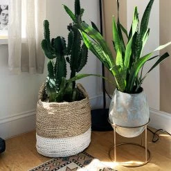 Surya Raveena Vase Planters