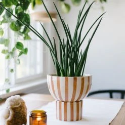 Jungalow® Kaya 2-Piece Ceramic Bowl Planter By Justina Blakeney™ Planters