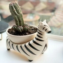 Jungalow® Zebra Savannah Garden Pot By Justina Blakeney™