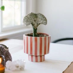 Jungalow® Kaya Shorty Ceramic Planter By Justina Blakeney™