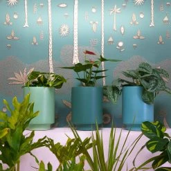 Jungalow® Kiwi Green Kaya Pot By Justina Blakeney™ Planters