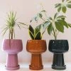 Jungalow® Kaya 3-Piece Ceramic Planter By Justina Blakeney™