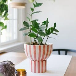 Jungalow® Kaya 2-Piece Ceramic Bowl Planter By Justina Blakeney™ Planters