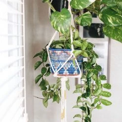 AAA Blue Night Planter