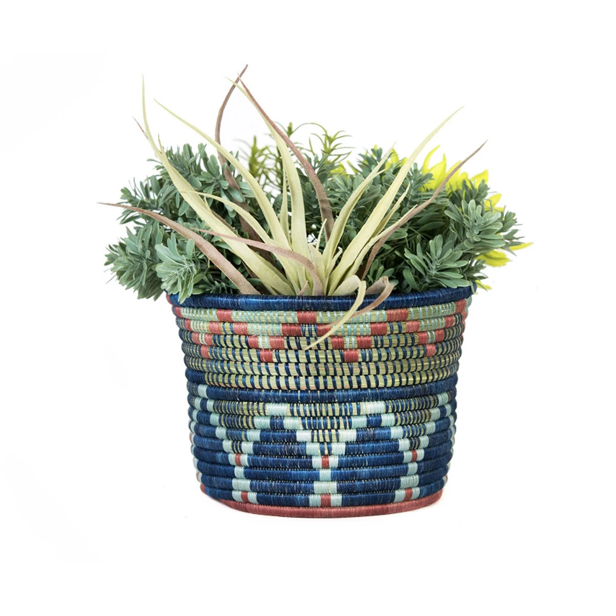 AAA Blue Night Planter 4 AAA Blue Night Planter