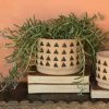 HomArt Triangle Planter