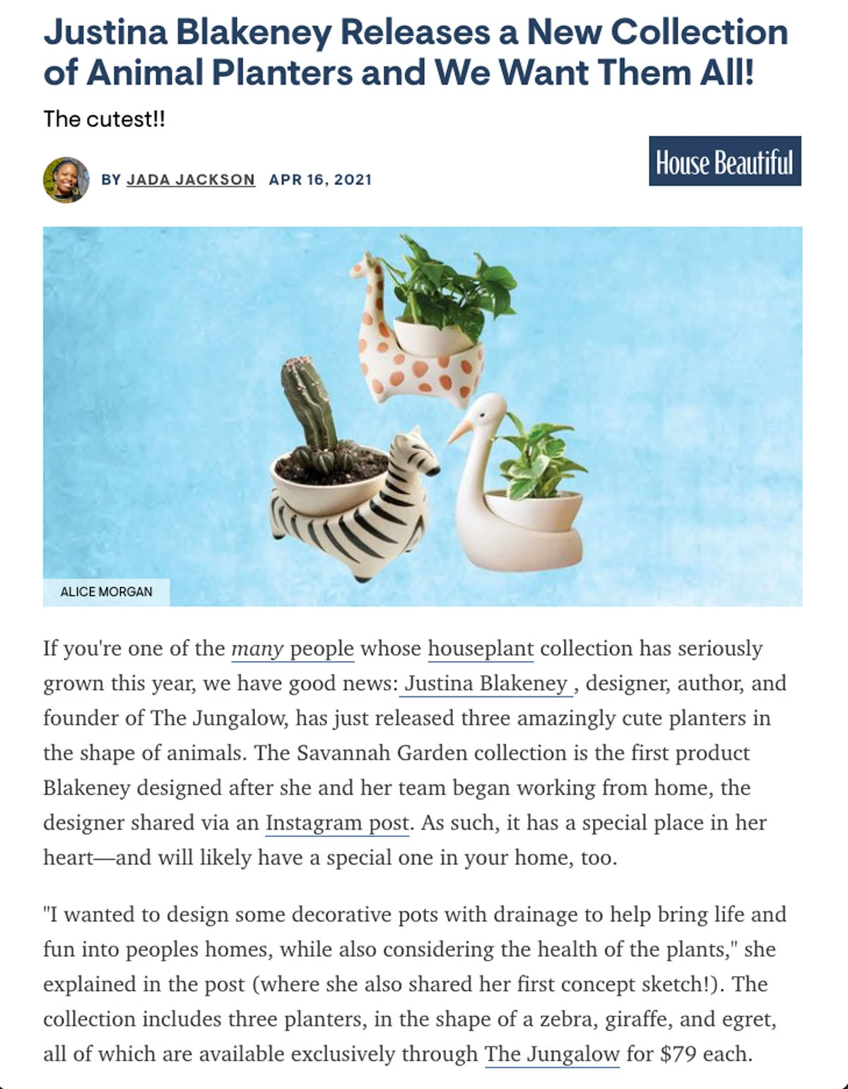 Jungalow® Zebra Savannah Garden Pot By Justina Blakeney™ 8 Jungalow® Zebra Savannah Garden Pot By Justina Blakeney™