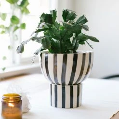 Jungalow® Kaya 2-Piece Ceramic Bowl Planter By Justina Blakeney™ Planters